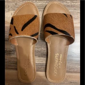 Coconuts by Matisse cowhair tiger print slide sandals.